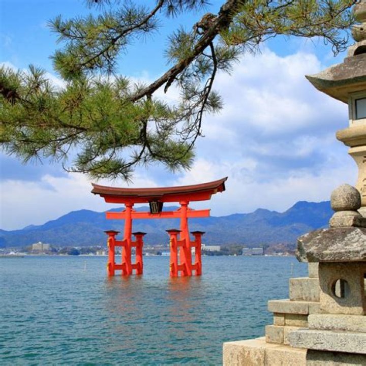 What does S and M mean in Japanese?