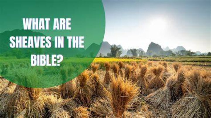 What does sheaves mean in the bible?