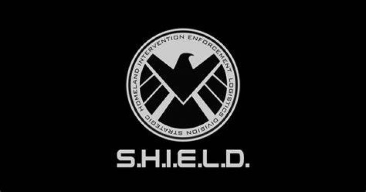 What does shield stand for in the Avengers movies?