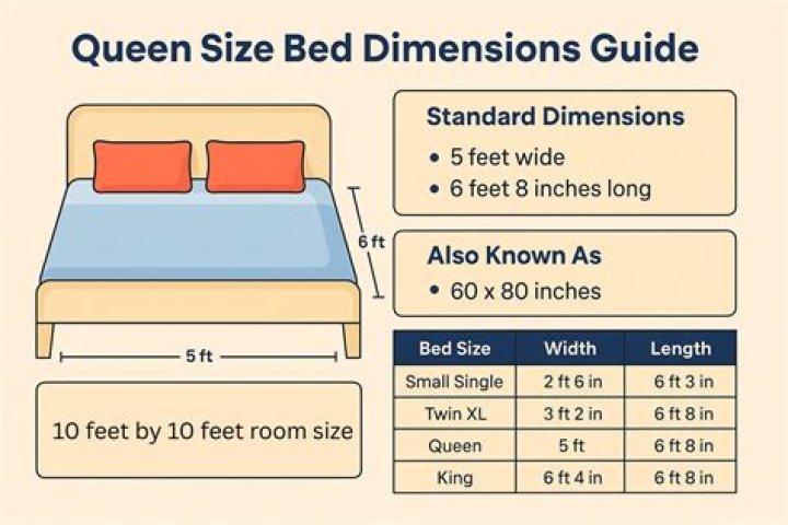 What does the DNA size standard contain?