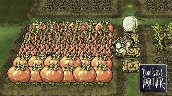 What does the fleshy bulb do in don’t starve?