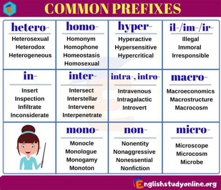 What does the prefix entero mean?