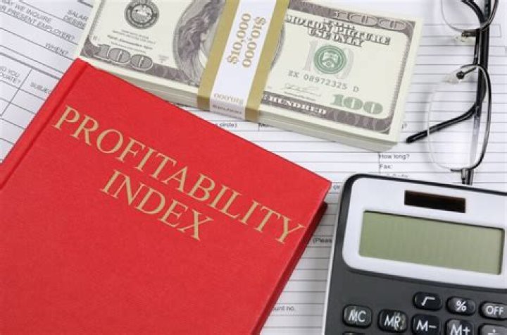What does the profitability index measure?