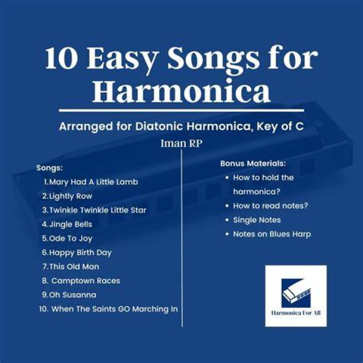 What family does a harmonica belong to?