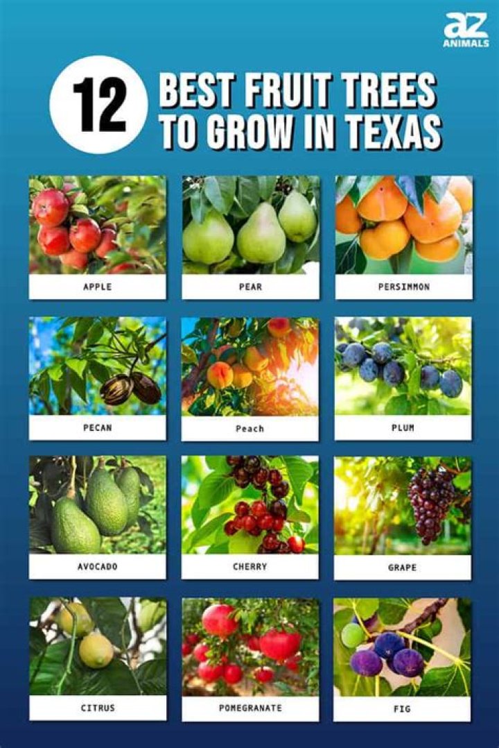 What fruit trees can grow in West Virginia?