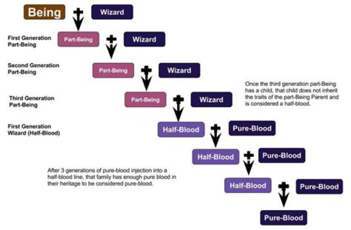 what happens if a half-blood marries a pureblood?