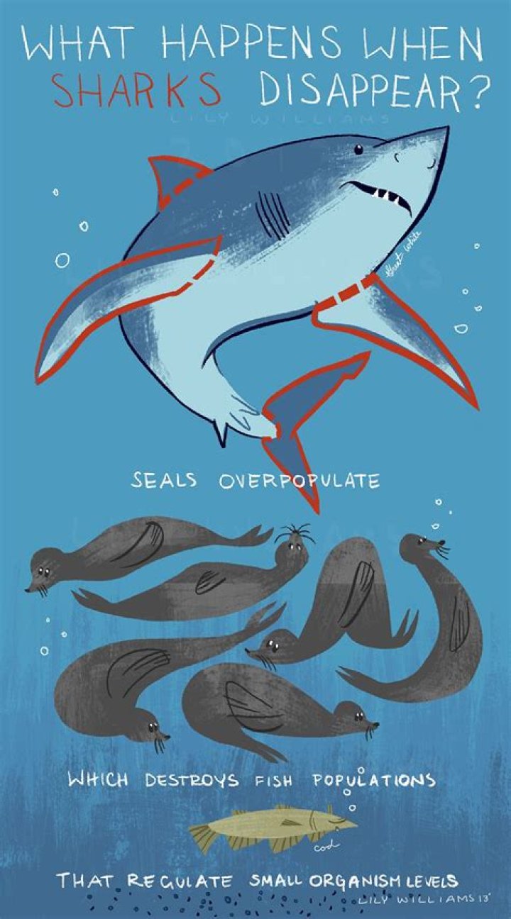 What happens when sharks fart?