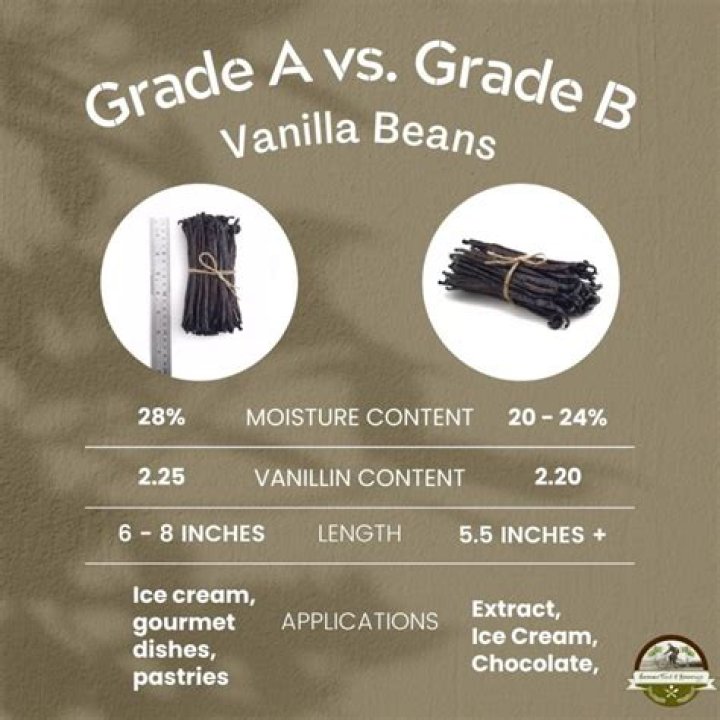 What is a Grade B vanilla bean?