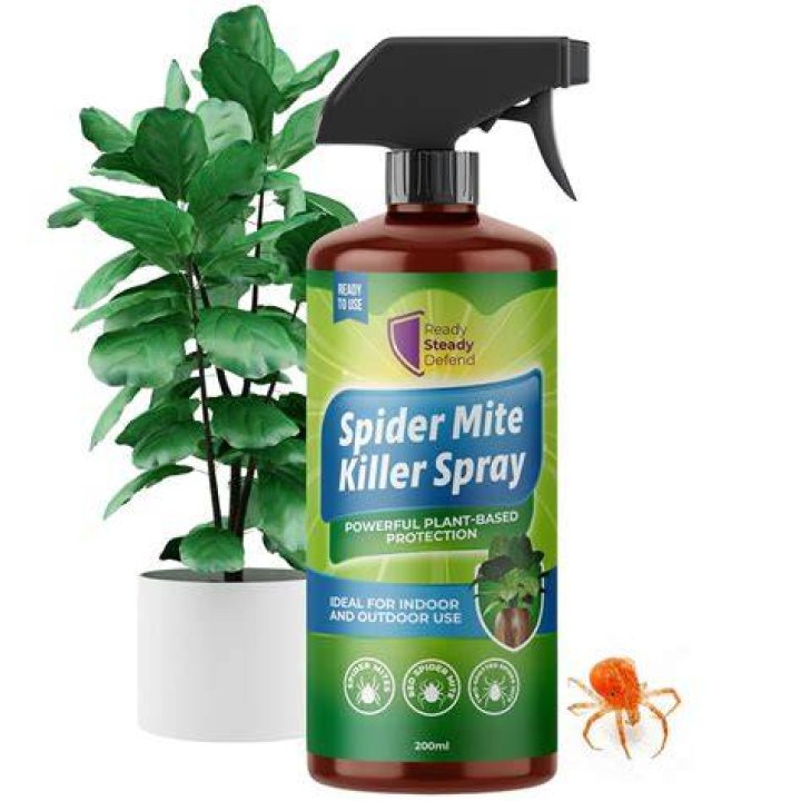 What is a natural spray for aphids?