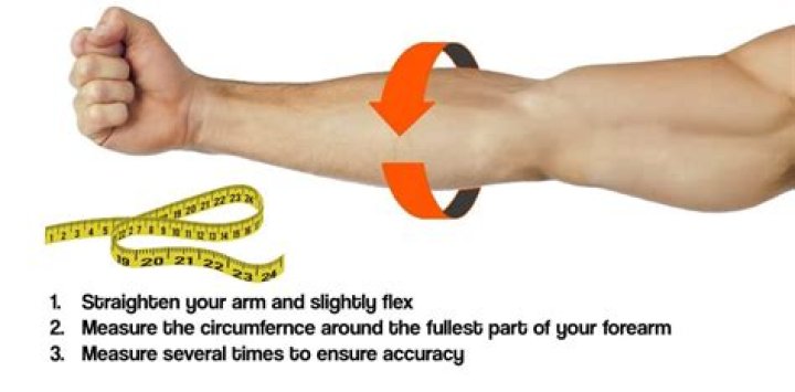 What is a normal forearm size?