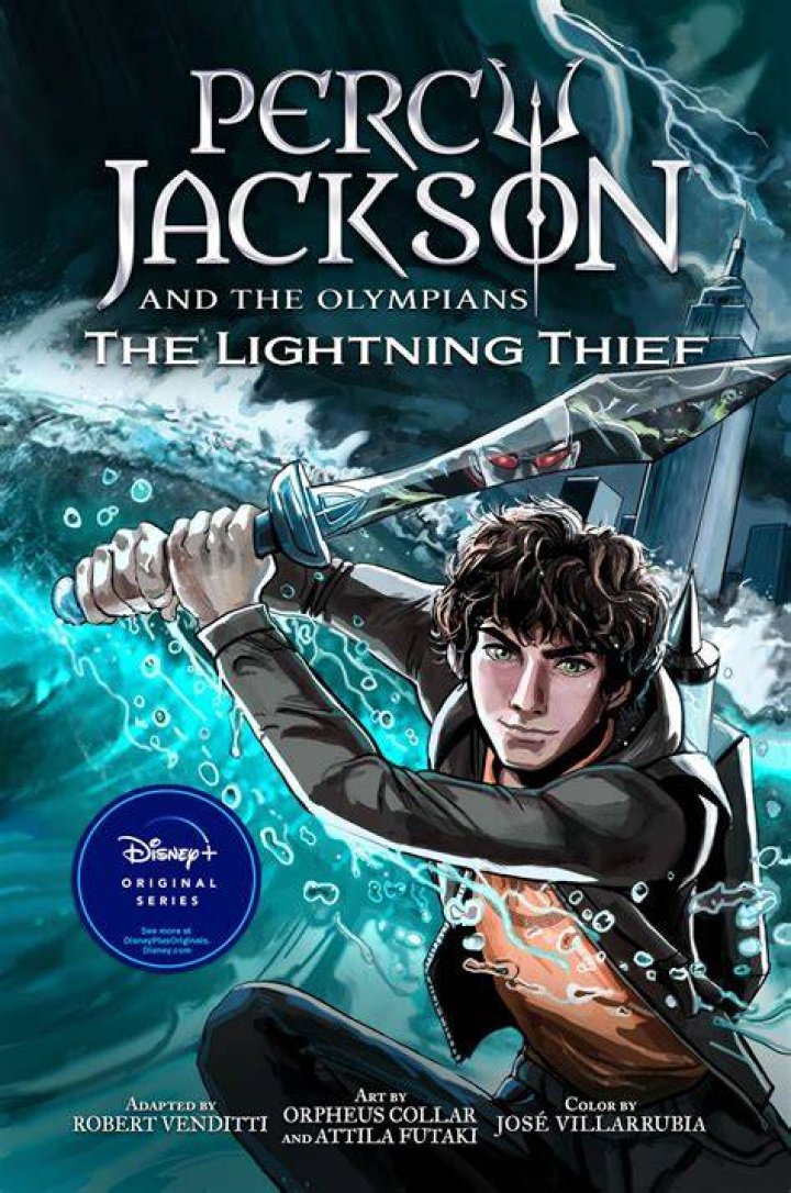 What is a paperback thief?