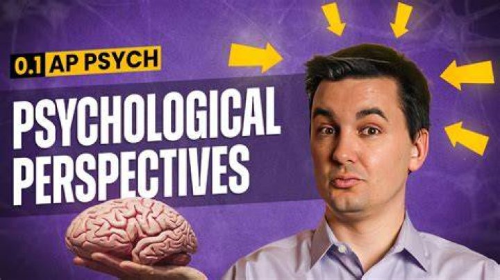 What is a perspective in psychology?