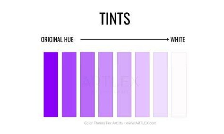 What is a tint in art?