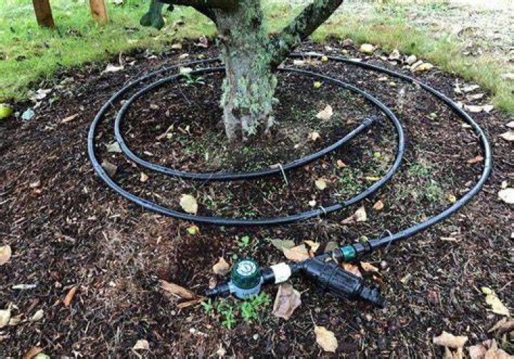 What is a wine drip ring?