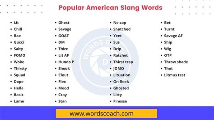 What is a Yardie in slang?