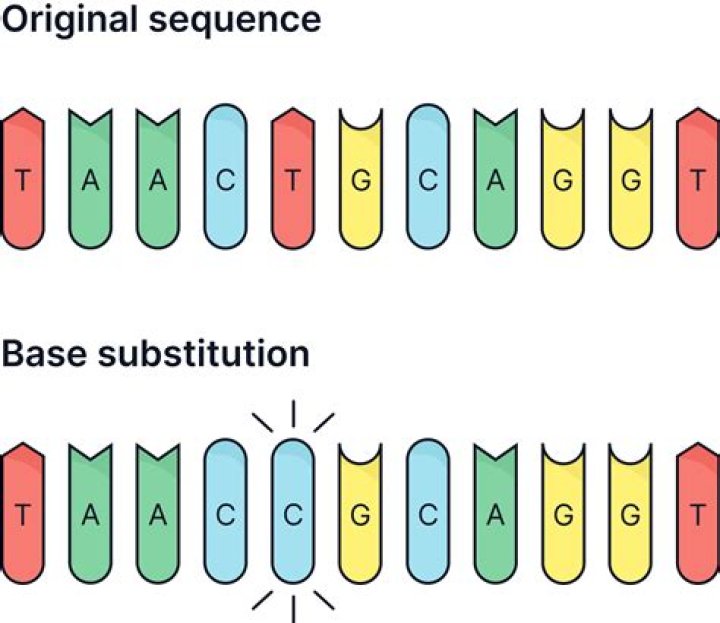 What is also called a substitution process?