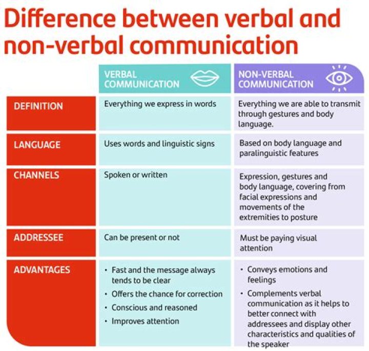 What is an Adaptor in nonverbal communication?
