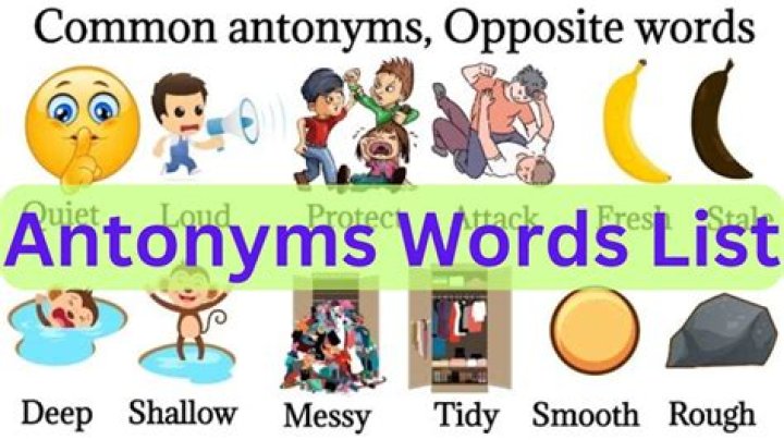 What is an antonym for Conserve?