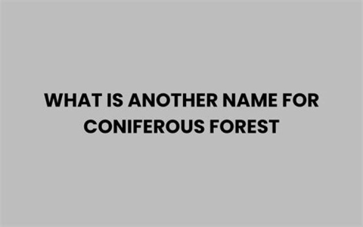 What is another name for coniferous forest?