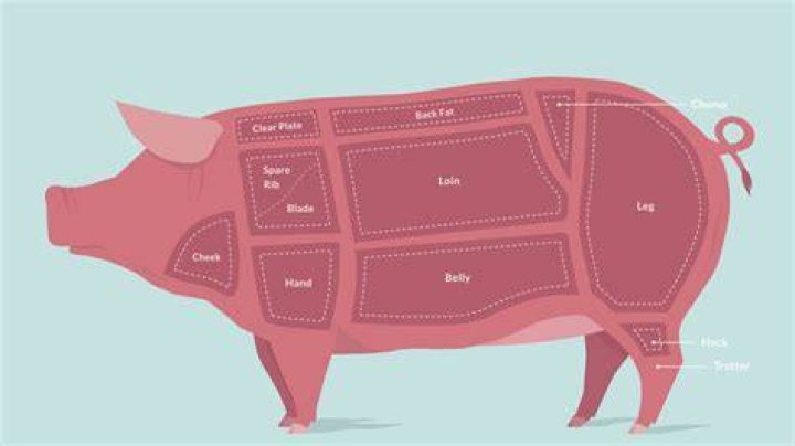 What is bacon neck?