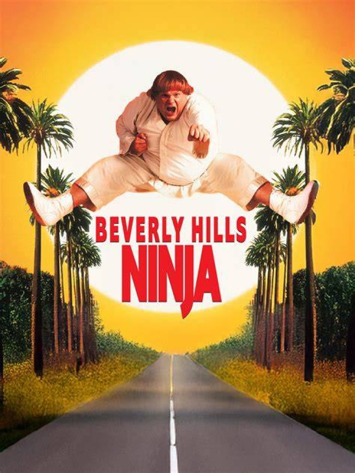 What is Beverly Hills Ninja rated?