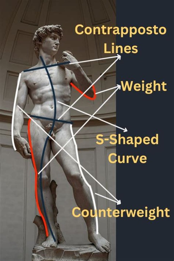 What is Contrapposto How is it shown in the statue of David by Michelangelo?