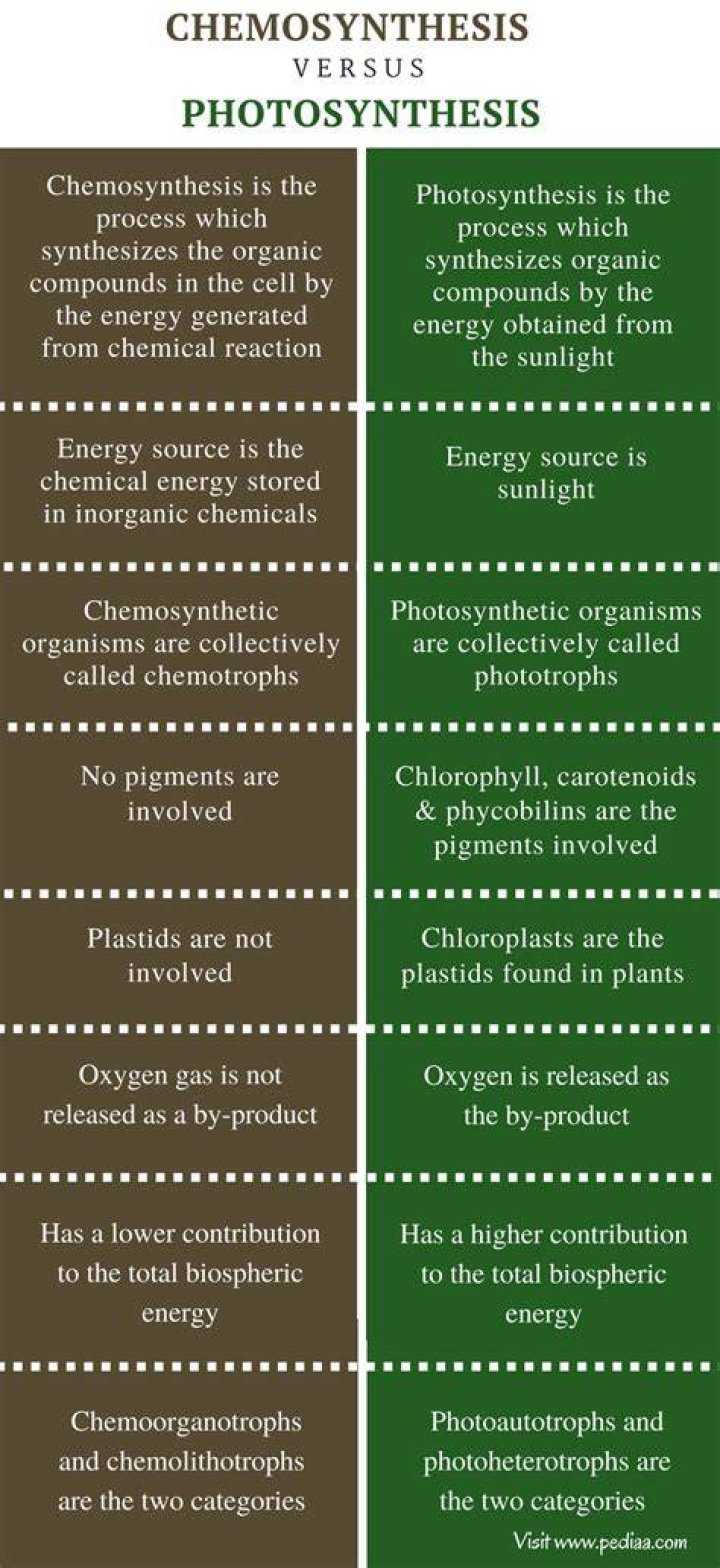 What is difference between photosynthesis and chemosynthesis?