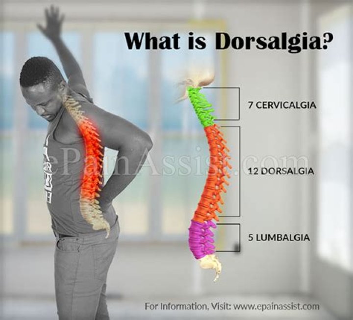 What is Dorsalgia m549?