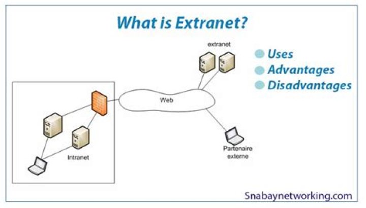 What is extranet advantages and disadvantages?