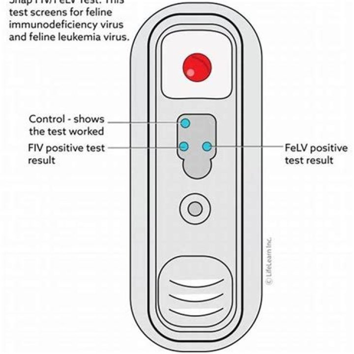 What is FeLV FIV Snap test?