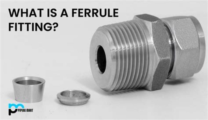 What is ferrule point?