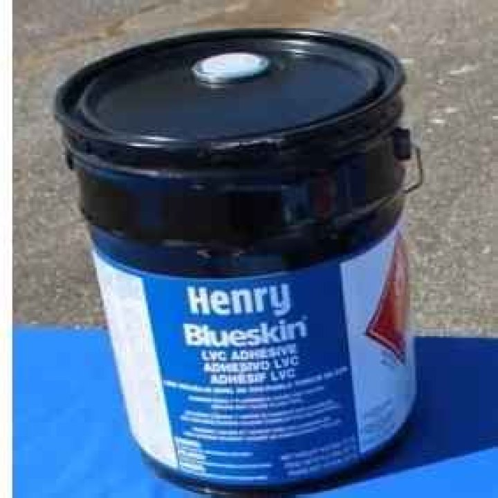 What is Henry blueskin?