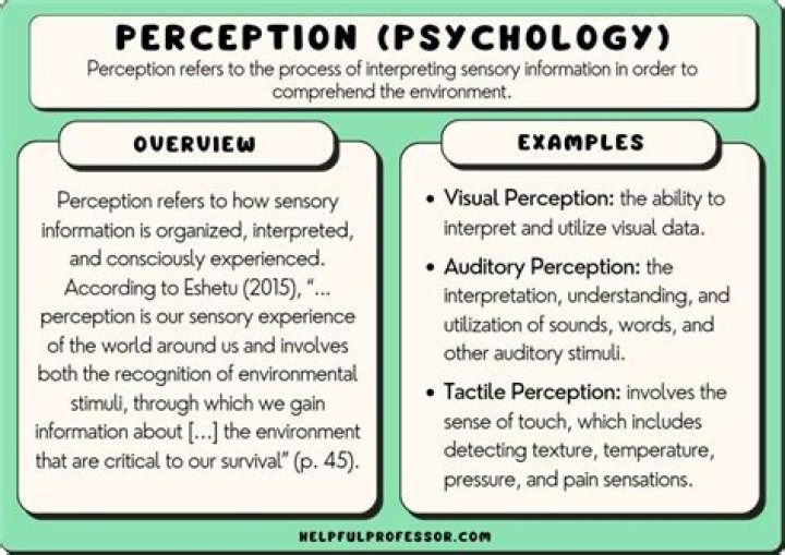 What is included in your perception time?