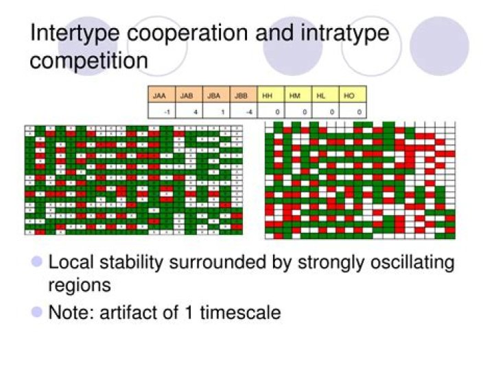 What is Intratype and intertype competition?