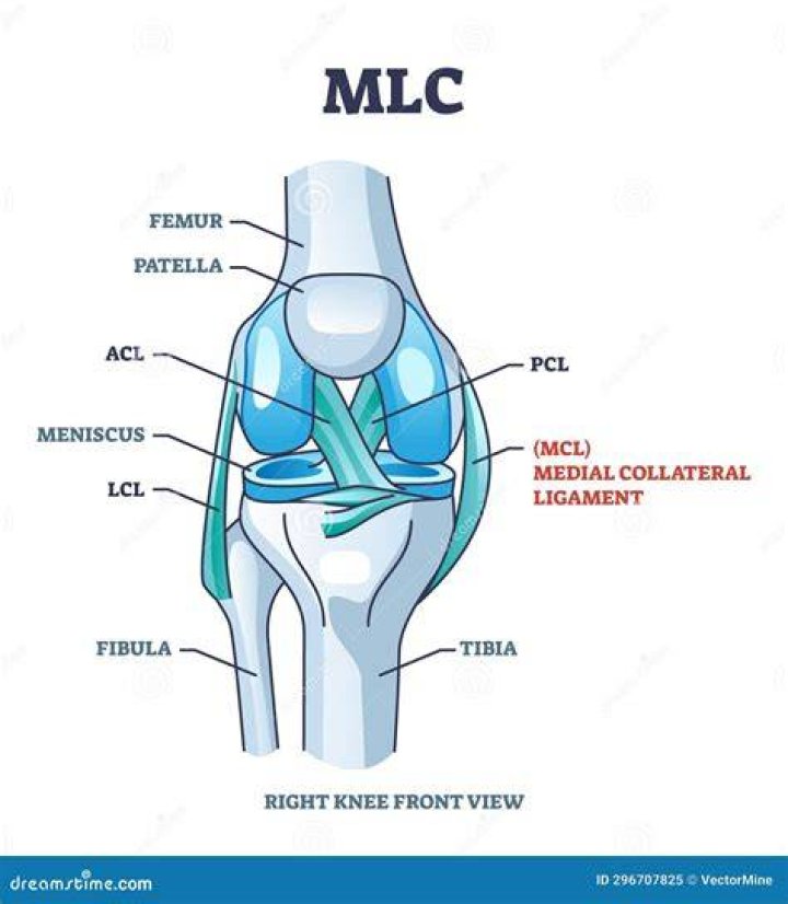 What is MLC in the army?