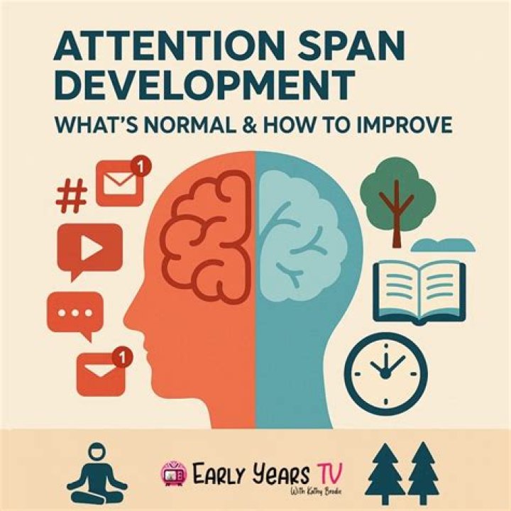 What is my attention span?
