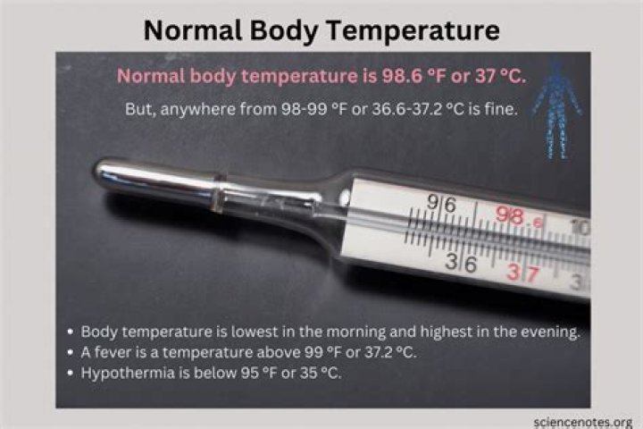 What is normal operating temperature for a motorcycle?