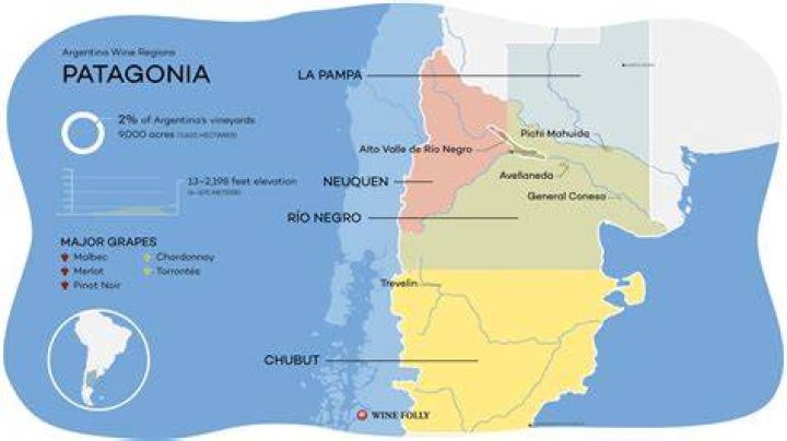 What is Patagonia’s net worth?