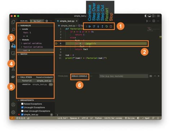 What is paused in debugger?