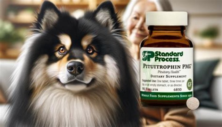 What is Pituitrophin PMG?