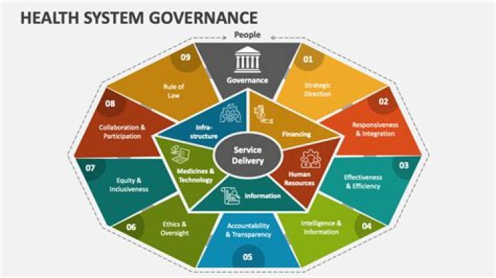 What is shared governance in health care?