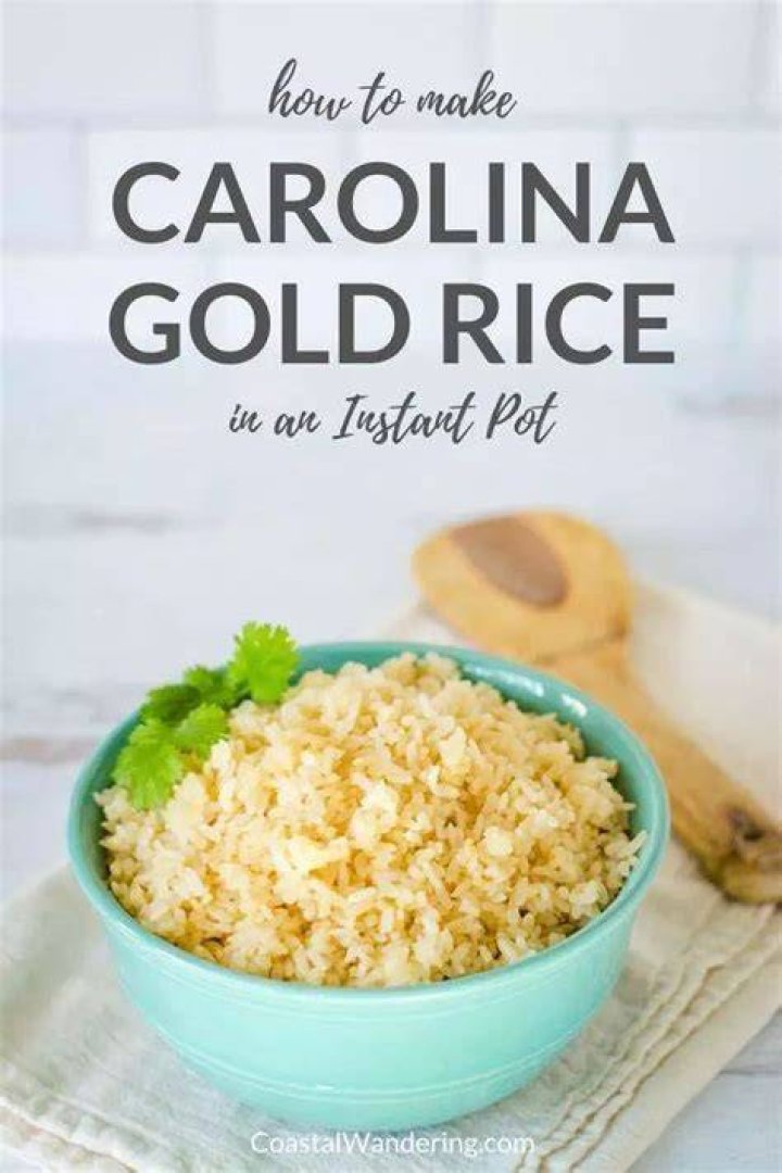 What is special about Carolina Gold rice?