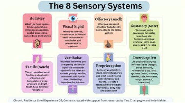 What is the best example of a vivid sensory detail?