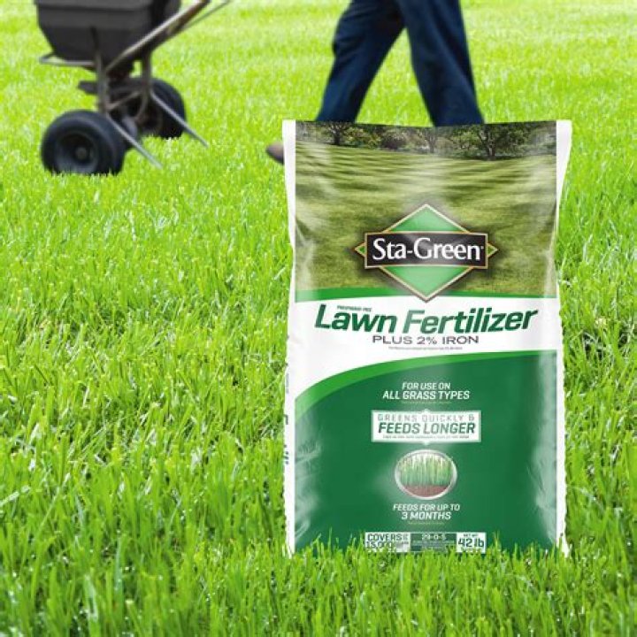 What is the best fertilizer for green giants?