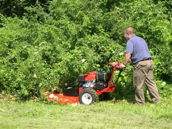 What is the best walk behind brush mower?