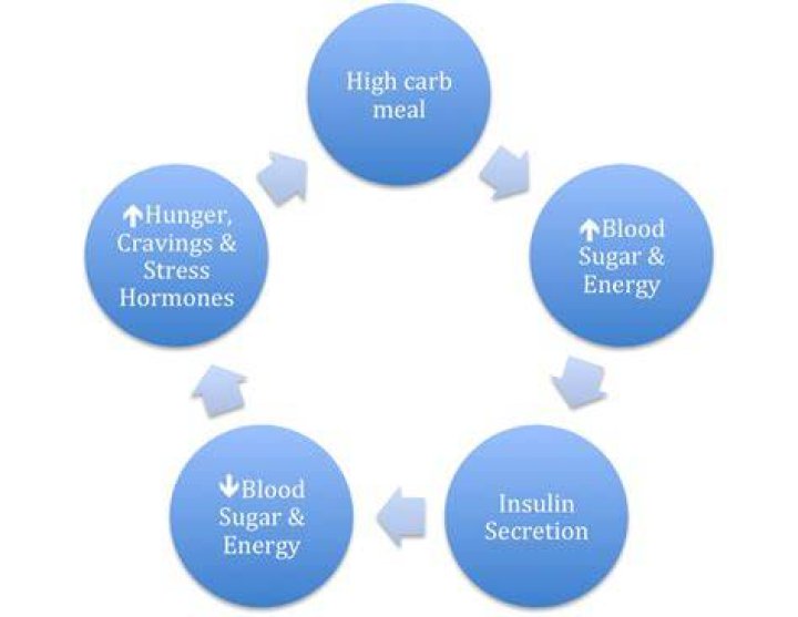 What is the body’s hormonal response to influx of sugar?