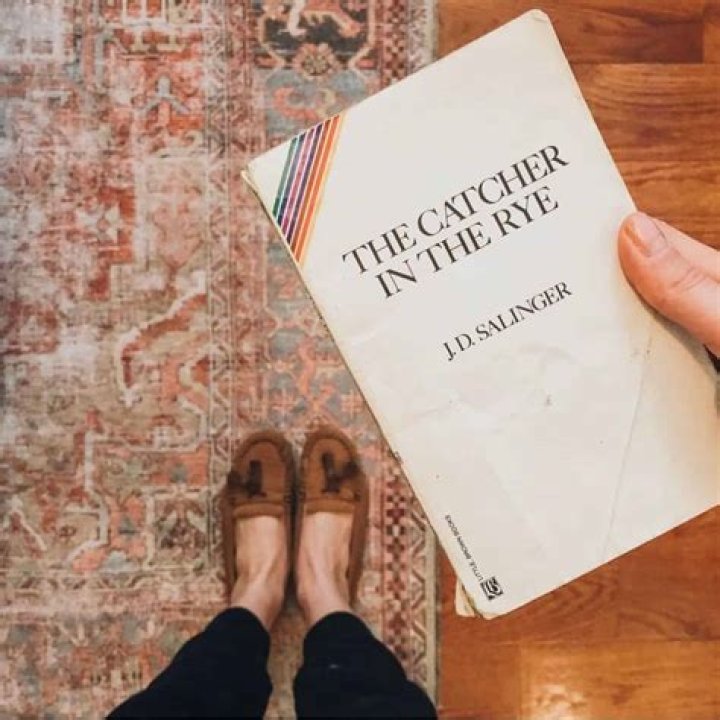 What is The Catcher in the Rye mainly about?