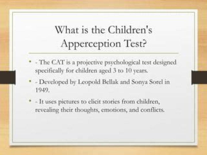 What is the Children’s Apperception Test?