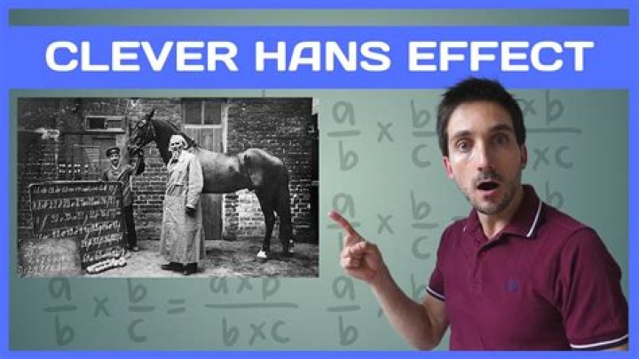 What is the Clever Hans effect in math?