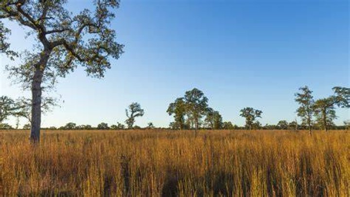 What is the climate of post oak savannah?
